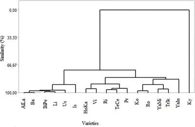 Comparison of the sugar and organic acid components of seventeen table grape varieties produced in Ankara (Türkiye): a study over two consecutive seasons